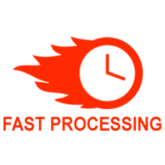 Priority Processing